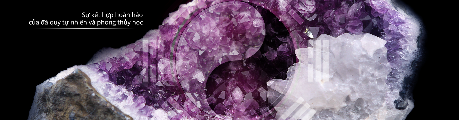 background - da - quy - tu - nhien