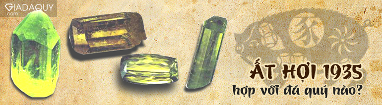 At Hoi 1935 hop voi da quy nao