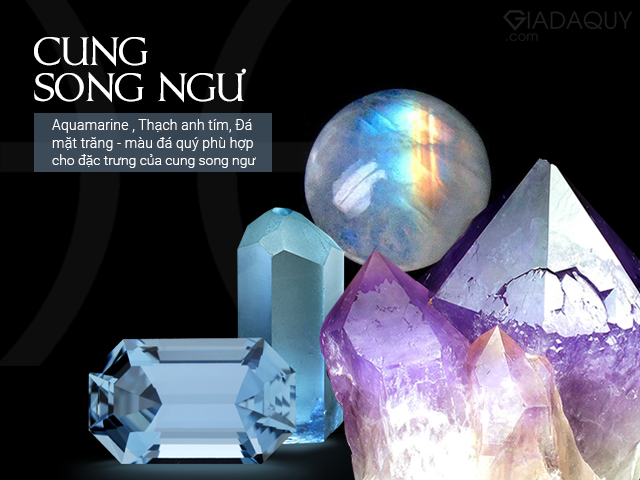 cac loai da quy cho cung song ngu