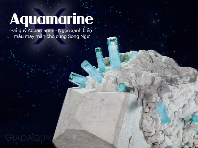 da aquamarine may man cho cung song ngu