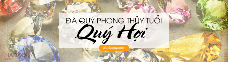 Da quy phong thuy cho tuoi Quy Hoi