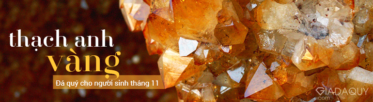 da quy cho nguoi sinh thang 11