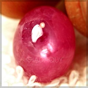 Da-ruby-do-hong-16.43-carats-mai-tron-hinh-oval
