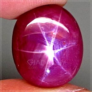 Da-quy-ruby-sao-13.45-carats-mai-tron-hinh-oavl