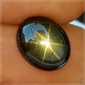 Da-quy-sapphire-sao-den-9.23-carats