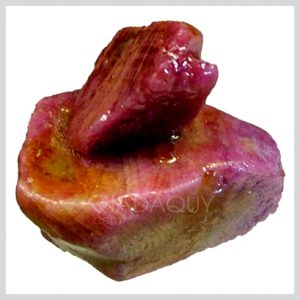 Da-quy-ruby-mau-do-tho-78-carats-F1002