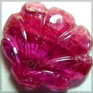 Đá ruby đỏ hồng chạm khắc hình vỏ sò 3.05 carats LG-1197