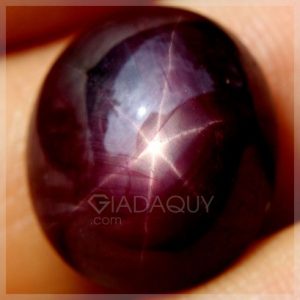 Da-quy-ruby-mau-tim-sao-30.01-carat
