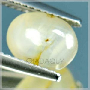 Da-sapphire-sao-vang-3.75-carats