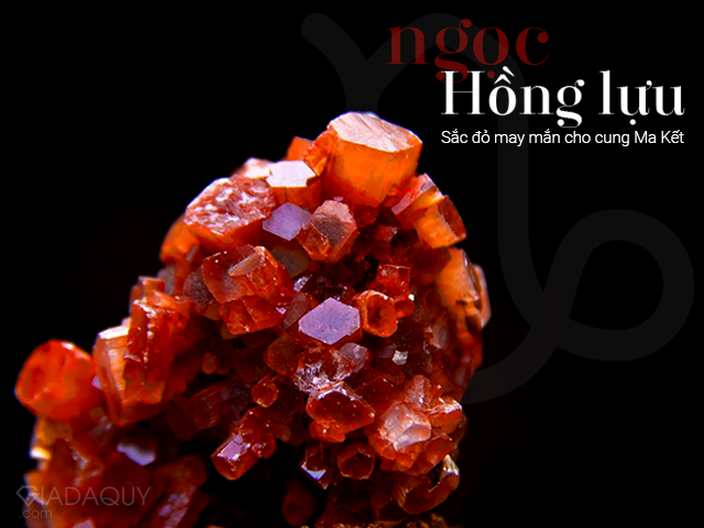 ngoc hong luu sac do may man cho cung ma ket
