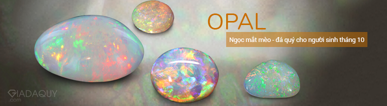opal da quy cho nguoi sinh thang 10