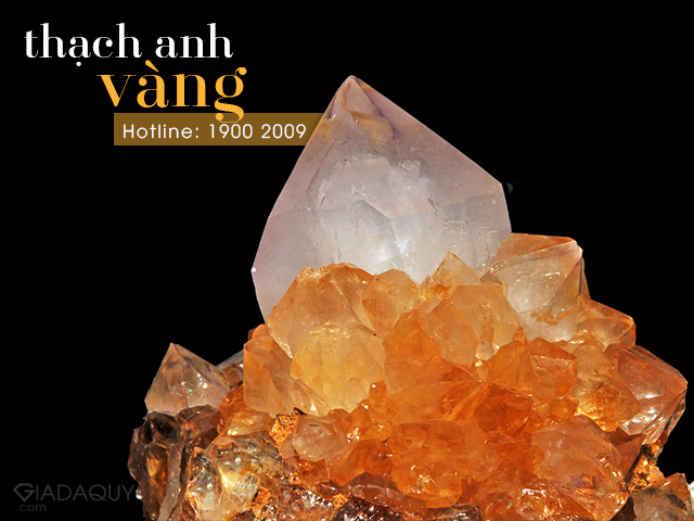 thach anh vang cho nguoi sinh thang 11