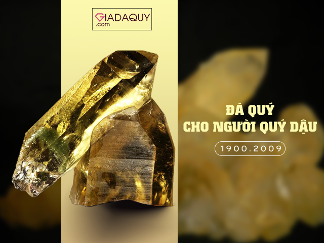 da quy cho nguoi tuoi quy dau