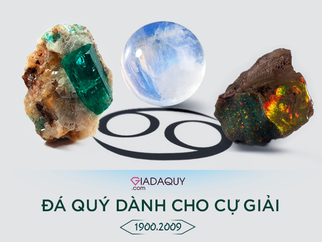 da quy danh cho cung cu giai