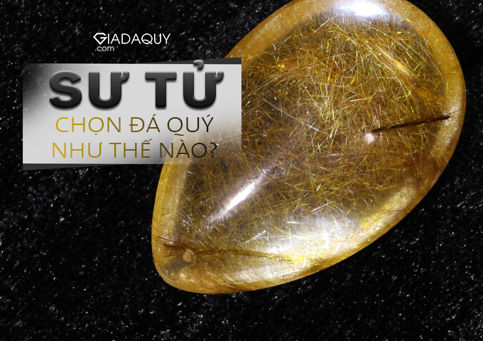 da quy hop cung su tu