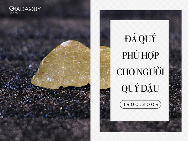 da quy phu hop cho nguoi quy dau