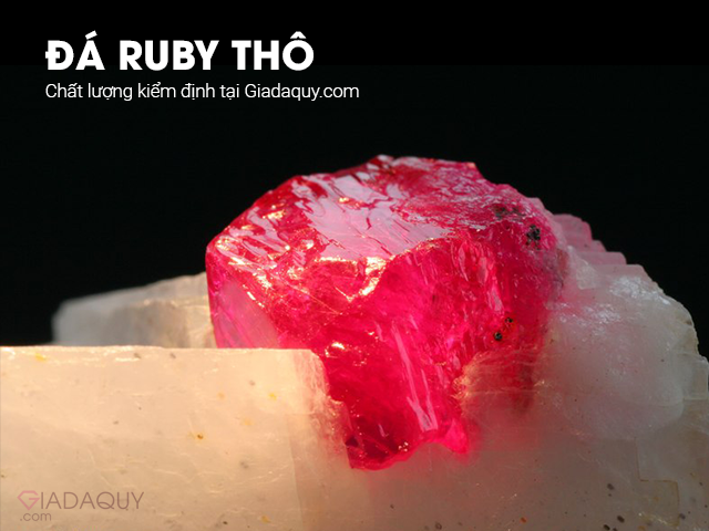 da quy tho da kiem dinh