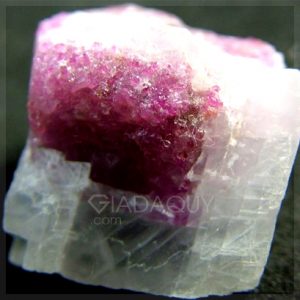da ruby tim tho 50 carats MX3977