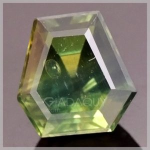 da sapphire xanh luc fancy cut RSA482