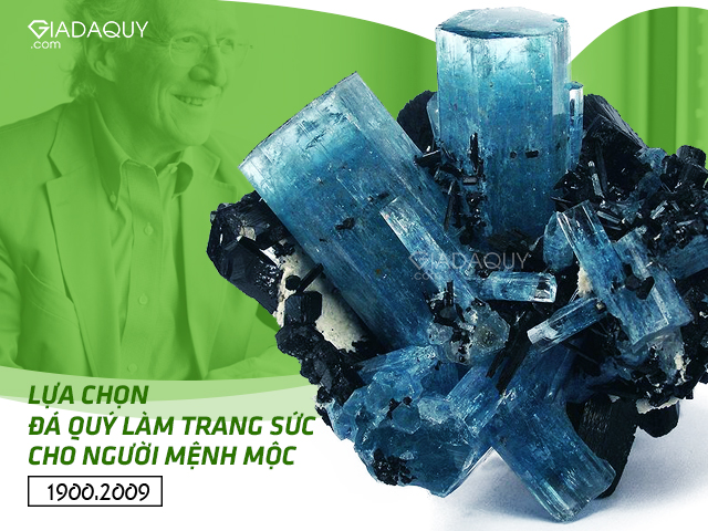 mau da quy cho nguoi menh moc