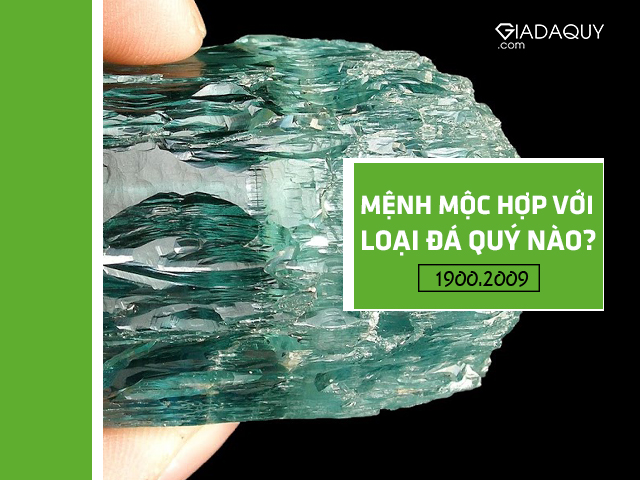 chon da quy hop mang moc