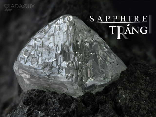tu van chon da sapphire trang