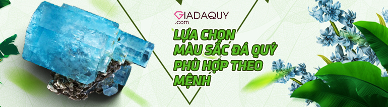 tu van chon mau da quy hop mang moc