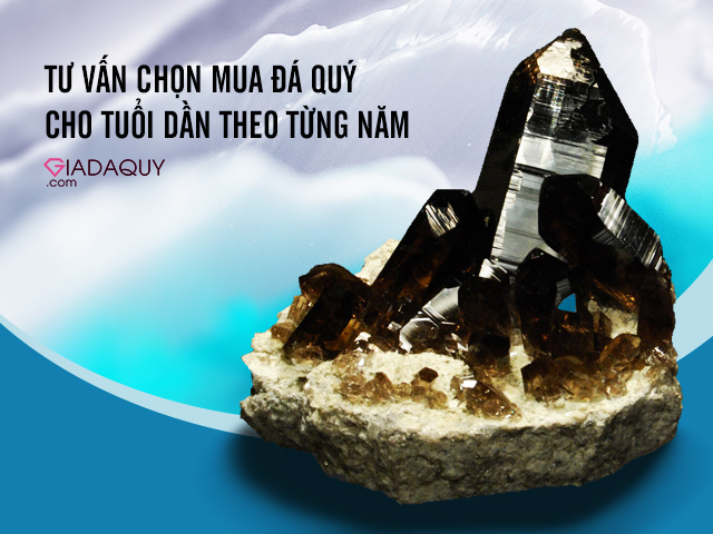 tu van chon mua da quy cho nguoi tuoi dan