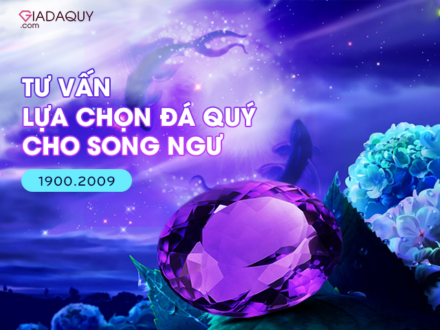 tu van chon da cung song ngu
