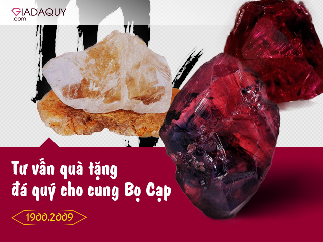 tu van qua tang da quy cho cung bo cap